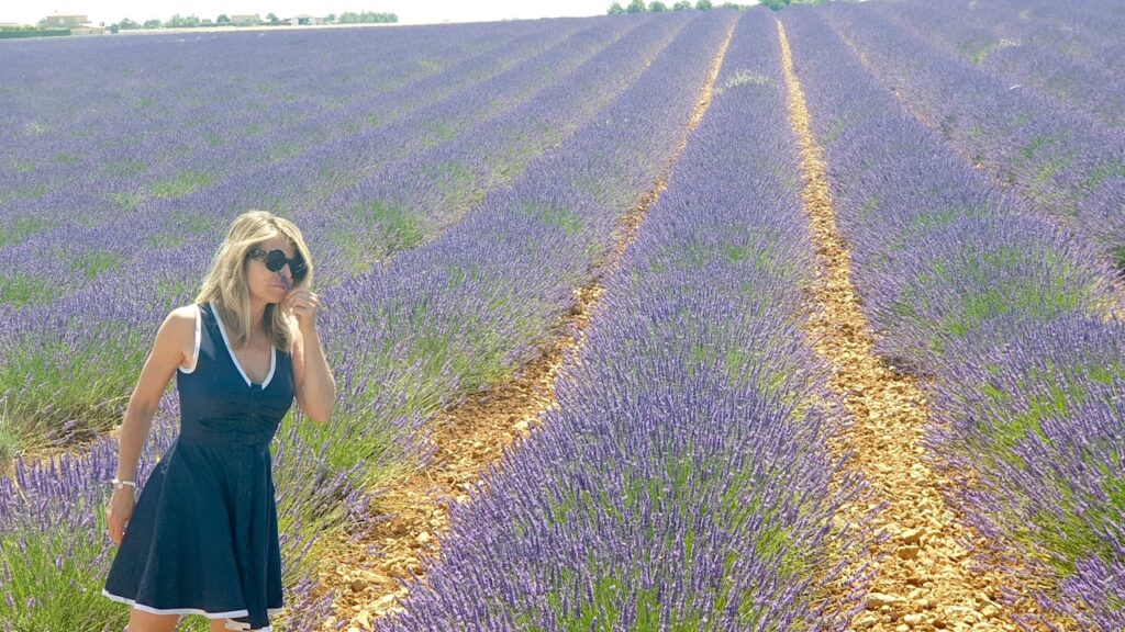 lavender-fields_provence_france