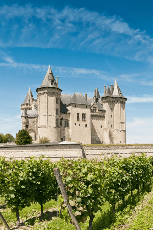 winery-castle-bordelais-france